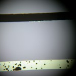 dscn6772