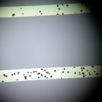 dscn6775