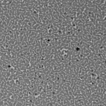 tem082-0130