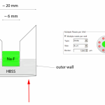 xwellsetup