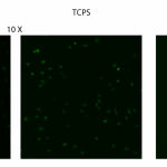 tcpspost