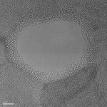 tem148-2-lpm-c2h2-5min-no-soak-800-c