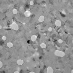 tem148_carbon_600_8_1-0102