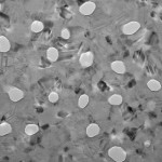 tem148_carbon_600_8_2-0103
