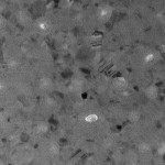 tem148_carbon_800_8_1-0109