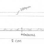 specs-perpendicular1