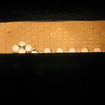 Broken-Membranes1