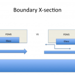 Boundary-Crossection