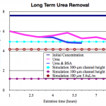 UreaClearanceModeling