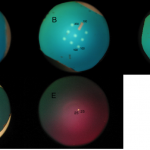 labeled_membranes