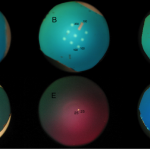 labeled_membranes1