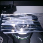 2012-08-24-14.47.37