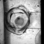Pre-fluid-Via-port-4x_d_1