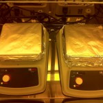 photo-13