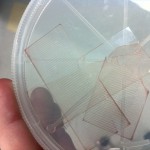 photo-16
