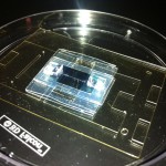 photo-19