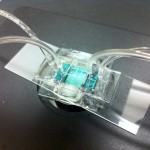 photo-7