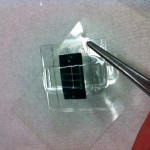 photo-8