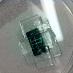 photo-9