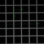 <MetaData>
	<prop id="Description" type="string" value="Exposure: 10 ms
Binning: 1 x 1
Region: 1004 x 1002, offset at (0, 0)
Subtract: Off
Shading: Off
Digitizer: 40 MHz
Multiplication Gain: 3500
Easy EM Gain Enabled: No
Offset: 0
Cooler On: 1
Blackout Mode Enabled: No
Frames to Average: 1
Trigger Mode: Normal (Internal)
">
	</prop>
	<prop id="MetaDataVersion" type="float" value="1">
	</prop>
	<prop id="ApplicationName" type="string" value="MetaMorph">
	</prop>
	<prop id="ApplicationVersion" type="string" value="7.7.7.0">
	</prop>
	<PlaneInfo>
		<prop id="plane-type" type="string" value="plane">
		</prop>
		<prop id="pixel-size-x" type="int" value="1004">
		</prop>
		<prop id="pixel-size-y" type="int" value="1002">
		</prop>
		<prop id="bits-per-pixel" type="int" value="24">
		</prop>
		<prop id="autoscale-state" type="bool" value="off">
		</prop>
		<prop id="autoscale-min-percent" type="float" value="0">
		</prop>
		<prop id="autoscale-max-percent" type="float" value="0">
		</prop>
		<prop id="scale-min" type="int" value="0">
		</prop>
		<prop id="scale-max" type="int" value="0">
		</prop>
		<prop id="spatial-calibration-state" type="bool" value="on">
		</prop>
		<prop id="spatial-calibration-x" type="float" value="0.561798">
		</prop>
		<prop id="spatial-calibration-y" type="float" value="0.561798">
		</prop>
		<prop id="spatial-calibration-units" type="string" value="um">
		</prop>
		<prop id="image-name" type="string" value="Untitled">
		</prop>
		<prop id="threshold-state" type="string" value="ThresholdOff">
		</prop>
		<prop id="threshold-low" type="int" value="0">
		</prop>
		<prop id="threshold-high" type="int" value="255">
		</prop>
		<prop id="threshold-color" type="colorref" value="4080ff">
		</prop>
		<prop id="zoom-percent" type="int" value="100">
		</prop>
		<prop id="gamma-red" type="float" value="1">
		</prop>
		<prop id="gamma-green" type="float" value="1">
		</prop>
		<prop id="gamma-blue" type="float" value="1">
		</prop>
		<prop id="look-up-table-type" type="string" value="custom">
		</prop>
		<prop id="look-up-table-name" type="string" value="Monochrome">
		</prop>
		<prop id="look-up-table-custom-values" type="int-array" value="0,0,0,0,0,0,0,0,0,0,0,0,0,0,0,0,0,0,0,0,0,0,0,0,0,0,0,0,0,0,0,0,0,0,0,0,0,0,0,0,0,0,0,0,0,0,0,0,0,0,0,0,0,0,0,0,0,0,0,0,0,0,0,0,0,0,0,0,0,0,0,0,0,0,0,0,0,0,0,0,0,0,0,0,0,0,0,0,0,0,0,0,0,0,0,0,0,0,0,0,0,0,0,0,0,0,0,0,0,0,0,0,0,0,0,0,0,0,0,0,0,0,0,0,0,0,0,0,0,0,0,0,0,0,0,0,0,0,0,0,0,0,0,0,0,0,0,0,0,0,0,0,0,0,0,0,0,0,0,0,0,0,0,0,0,0,0,0,0,0,0,0,0,0,0,0,0,0,0,0,0,0,0,0,0,0,0,0,0,0,0,0,0,0,0,0,0,0,0,0,0,0,0,0,0,0,0,0,0,0,0,0,0,0,0,0,0,0,0,0,0,0,0,0,0,0,0,0,0,0,0,0,0,0,0,0,0,0,0,0,0,0,0,0,0,0,0,0,0,0,0,0,0,0,0,0,0,0,0,0,0,0,0,0,0,0,0,0,0,0,0,0,0,0,0,0,0,0,0,0,0,0,0,0,0,0,0,0,0,0,0,0,0,0,0,0,0,0,0,0,0,0,0,0,0,0,0,0,0,0,0,0,0,0,0,0,0,0,0,0,0,0,0,0,0,0,0,0,0,0,0,0,0,0,0,0,0,0,0,0,0,0,0,0,0,0,0,0,0,0,0,0,0,0,0,0,0,0,0,0,0,0,0,0,0,0,0,0,0,0,0,0,0,0,0,0,0,0,0,0,0,0,0,0,0,0,0,0,0,0,0,0,0,0,0,0,0,0,0,0,0,0,0,0,0,0,0,0,0,0,0,0,0,0,0,0,0,0,0,0,0,0,0,0,0,0,0,0,0,0,0,0,0,0,0,0,0,0,0,0,0,0,0,0,0,0,0,0,0,0,0,0,0,0,0,0,0,0,0,0,0,0,0,0,0,0,0,0,0,0,0,0,0,0,0,0,0,0,0,0,0,0,0,0,0,0,0,0,0,0,0,0,0,0,0,0,0,0,0,0,0,0,0,0,0,0,0,0,0,0,0,0,0,0,0,0,0,0,0,0,0,0,0,0,0,0,0,0,0,0,0,0,0,0,0,0,0,0,0,0,0,0,0,0,0,0,0,0,0,0,0,0,0,0,0,0,0,0,0,0,0,0,0,0,0,0,0,0,0,0,0,0,0,0,0,0,0,0,0,0,0,0,0,0,0,0,0,0,0,0,0,0,0,0,0,0,0,0,0,0,0,0,0,0,0,0,0,0,0,0,0,0,0,0,0,0,0,0,0,0,0,0,0,0,0,0,0,0,0,0,0,0,0,0,0,0,0,0,0,0,0,0,0,0,0,0,0,0,0,0,0,0,0,0,0,0,0,0,0,0,0,0,0,0,0,0,0,0,0,0,0,0,0,0,0,0,0,0,0,0,0,0,0,0,0,0,0,0,0,0,0,0,0,0,0,0,0,0,0,0,0,0,0,0,0,0,0,0,0,0,0,0,0,0,0,0,0,0,0,0,0,0,0,0,0,0,0,0,0,0,0,0,0,0,0,0,0,0,0,0,0,0,0,0,0,0,0,0,0,0,0,0,0,0,0,0,0,0,0,0,0,0,0,0,0,0,0,0">
		</prop>
		<prop id="photonegative-mode" type="bool" value="off">
		</prop>
		<prop id="gray-calibration-curve-fit-algorithm" type="int" value="4">
		</prop>
		<prop id="gray-calibration-values" type="float-array" value="">
		</prop>
		<prop id="gray-calibration-min" type="float" value="-1">
		</prop>
		<prop id="gray-calibration-max" type="float" value="-1">
		</prop>
		<prop id="gray-calibration-units" type="string" value="">
		</prop>
		<prop id="plane-guid" type="guid" value="{DF6E0785-63EE-405E-89B5-F31869D39D1A}">
		</prop>
		<prop id="acquisition-time-local" type="time" value="20120906 11:24:03.749">
		</prop>
		<prop id="modification-time-local" type="time" value="20120906 11:26:05.562">
		</prop>
		<prop id="stage-position-x" type="float" value="63547.5">
		</prop>
		<prop id="stage-position-y" type="float" value="36425.1">
		</prop>
		<prop id="stage-label" type="string" value="">
		</prop>
		<prop id="z-position" type="float" value="11054.4">
		</prop>
		<prop id="wavelength" type="float" value="0">
		</prop>
		<prop id="camera-binning-x" type="int" value="1">
		</prop>
		<prop id="camera-binning-y" type="int" value="1">
		</prop>
		<prop id="camera-chip-offset-x" type="float" value="0">
		</prop>
		<prop id="camera-chip-offset-y" type="float" value="0">
		</prop>
		<prop id="_IllumSetting_" type="string" value="__PHASE">
		</prop>
		<prop id="_MagNA_" type="float" value="0.35">
		</prop>
		<prop id="_MagRI_" type="float" value="1">
		</prop>
		<prop id="_MagSetting_" type="string" value="20x">
		</prop>
		<custom-prop id="Camera Bit Depth" type="float" value="14">
		</custom-prop>
		<custom-prop id="Leica Condenser Turret" type="string" value="BF">
		</custom-prop>
		<custom-prop id="Leica Contrast Method" type="string" value="TL-PH">
		</custom-prop>
		<custom-prop id="Leica DIC Turret" type="string" value="-">
		</custom-prop>
		<custom-prop id="Leica Filter Changer" type="string" value="EMP">
		</custom-prop>
		<custom-prop id="Leica IL Aperture Diaphragm" type="float" value="1">
		</custom-prop>
		<custom-prop id="Leica IL Field Diaphragm" type="float" value="12">
		</custom-prop>
		<custom-prop id="Leica IL Filter" type="string" value="B">
		</custom-prop>
		<custom-prop id="Leica IL Shutter" type="string" value="Closed">
		</custom-prop>
		<custom-prop id="Leica Immersion Mode" type="string" value="Dry">
		</custom-prop>
		<custom-prop id="Leica Lamp" type="float" value="6">
		</custom-prop>
		<custom-prop id="Leica Lamp Switch" type="string" value="Transmitted">
		</custom-prop>
		<custom-prop id="Leica Magnifcation Changer" type="string" value="Position #3">
		</custom-prop>
		<custom-prop id="Leica Objective Turret" type="string" value="20x">
		</custom-prop>
		<custom-prop id="Leica TL Aperture Diaphragm" type="float" value="24">
		</custom-prop>
		<custom-prop id="Leica TL Field Diaphragm" type="float" value="46">
		</custom-prop>
		<custom-prop id="Leica TL Filter 1" type="string" value="Position #1">
		</custom-prop>
		<custom-prop id="Leica TL Filter 2" type="string" value="Position #1">
		</custom-prop>
		<custom-prop id="Leica TL Polarizer" type="string" value="TL Polarizer Out">
		</custom-prop>
		<custom-prop id="Leica TL Shutter" type="string" value="Closed">
		</custom-prop>
	</PlaneInfo>
	<SetInfo>
		<prop id="number-of-planes" type="int" value="1">
		</prop>
	</SetInfo>
</MetaData>