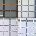 150nm_ox_first_4