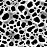 3010030-NSN@1000C-1min_1