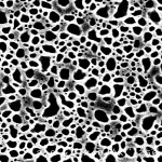 3010030-NSN@1000C-1min_2