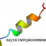 conjugated-penetratin