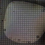 150nm-TEOS-3um-pores-SiN-focus-40-min-boe-LiftOff-C-2_5x
