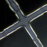 150nm-TEOS-3um-pores-su8-focus-no-SiN-45-min-boe-LiftOff-backside
