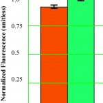 Fluorescence-10-30-12