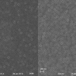 PFI01_compare_montage_20kx