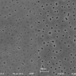 PFI01_compare_montage_50kx