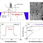 Scanning-electrochemical-microscopy