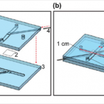 Screen-Shot-2013-02-24-at-9.33.38-PM