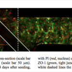 Screen-Shot-2013-02-24-at-9.34.00-PM