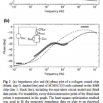 Screen-Shot-2013-02-24-at-9.37.27-PM