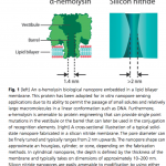 Screen-Shot-2013-02-26-at-10.05.19-AM