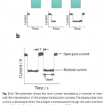 Screen-Shot-2013-02-26-at-10.06.09-AM