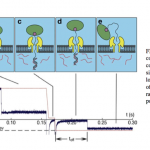 Screen-Shot-2013-02-26-at-9.40.29-AM