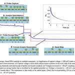 Screen-Shot-2013-02-26-at-9.40.48-AM