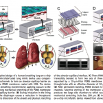 Screen-Shot-2013-03-02-at-2.01.14-PM