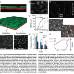 Screen-Shot-2013-03-02-at-2.23.29-PM