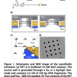 Figure-1-nanofluidic-transistor