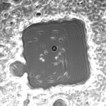 Microarray1_day4_10x_2jpeg