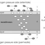 Screen-Shot-2013-05-07-at-2.28.26-PM