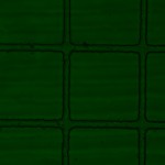 8_40x_11