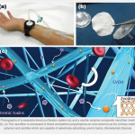 Nanofiber zeolites
