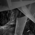 Microporous nitride_90s_44