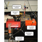 ECMO Experimental System